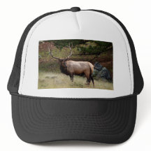 Elks Hat