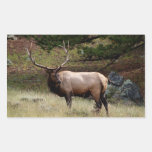 Elk in the Wild Sticker