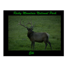 Elk, Milner Pass Postcards