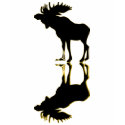 elk Moose Elch t-shirts