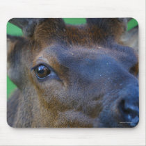 Elk mousepads