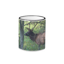 ELK  PANARAMIC,catalochee nc Mugs