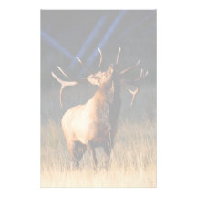 elk personalized stationery
