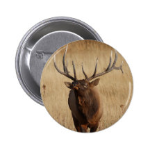 elk pinback button