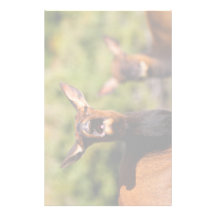 elk stationery