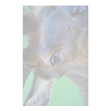 elk stationery design