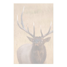 elk stationery paper