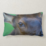 Elk Throw Pillows