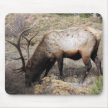 Elk Wapiti Cervus Canadensis Mousepads