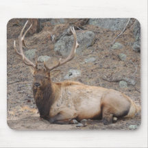 Elk Wapiti Mousemat