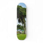 Ellen Browning Scripps Park In La Jolla skateboards