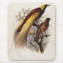 Elliot - Paradisea apoda -Greater Bird Of Paradise Mouse Mat