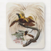 Elliot - Paradisea minor - Lesser Bird Of Paradise Mouse Mat