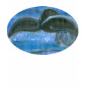 ellipse-whale-tail-splash t-shirts