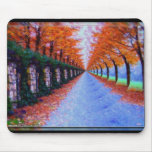 Elliptical Autumn Pathway Mousepad