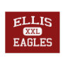 Ellis - Eagles - Middle School - Elgin Illinois Post Card