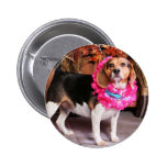 Elly - Beagle - Lucier Pin