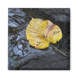 Elm Leaf Magnet