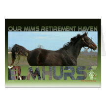 Elmhurst - '97 Breeders' Cup Sprint Winner Cards