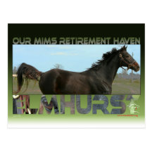 Elmhurst - '97 Breeders' Cup Sprint Winner Post Cards
