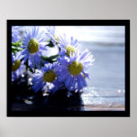 eloine print