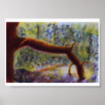 Elora Gorge, Poster