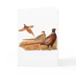 Elusive Pheasant Bird Hunting