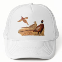 Elusive Pheasant Bird Hunting