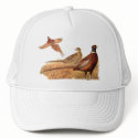 Elusive Pheasant Bird Hunting hats