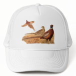 Elusive Pheasant Bird Hunting hats