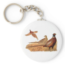 Elusive Pheasant Bird Hunting