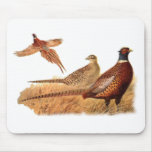 Elusive Pheasant Bird Hunting Mousepad