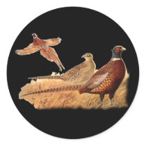 Elusive Pheasant Bird Hunting