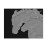 Embossed Look Horses Black background Postcards