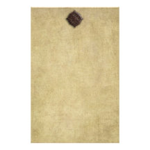 Embossed Medallion- No Lines-Stationery