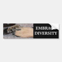 Embrace Diversity Bumper Sticker