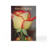 Embrace Healing cards