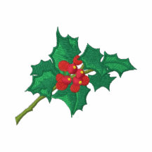 Embroidered HOLLY Ladies' Long Sleeve Shirt