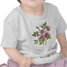 Embroidered Pink Old English Roses Shirt