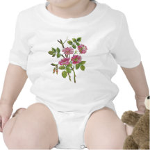 Embroidered Pink Old English Roses Tshirts