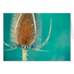 Emerald Bokeh Cards