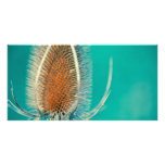 Emerald Bokeh Picture Card