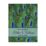 Emerald Green Royal Blue Peacock Feathers Wedding postcards