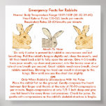 Emergency Facts for Flemish Giant Rabbits posters