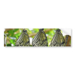 Emerging From Cocoons Bumper Sticker bumper stickers