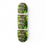 Emerging From Cocoons Skateboards