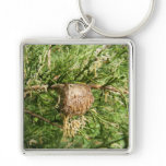 Emerging Mantis ~ keychain 2