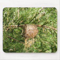 Emerging Mantis ~ mousepad