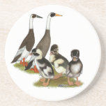 Emery Penciled Runner Duck Family Coasters