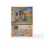 Emilia in the rosegarden cards